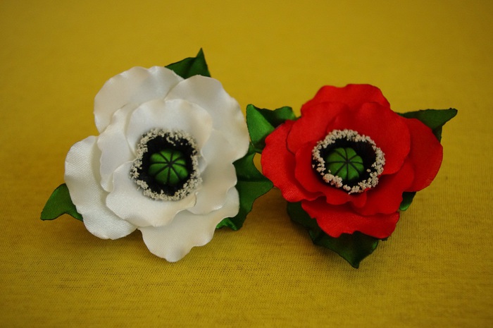 IMGP0249 (700x465, 83Kb)