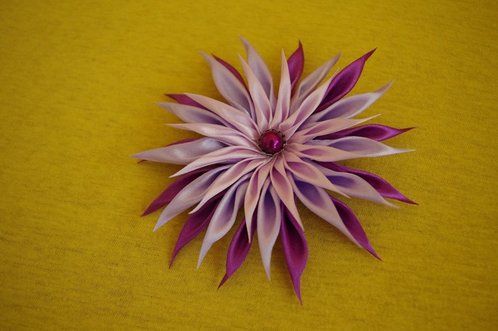 IMGP0251 (700x465, 104Kb)