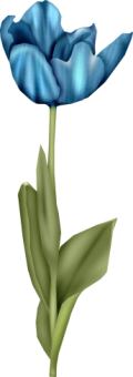 1368218068_tulip1 (120x340, 33Kb)