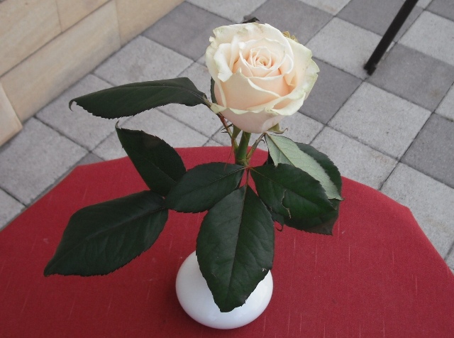      (640x476, 107Kb)
