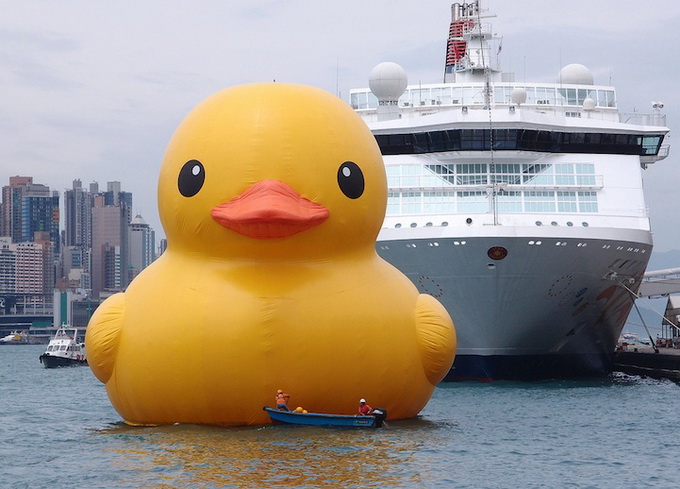 hongkongduck01 (680x489, 116Kb)