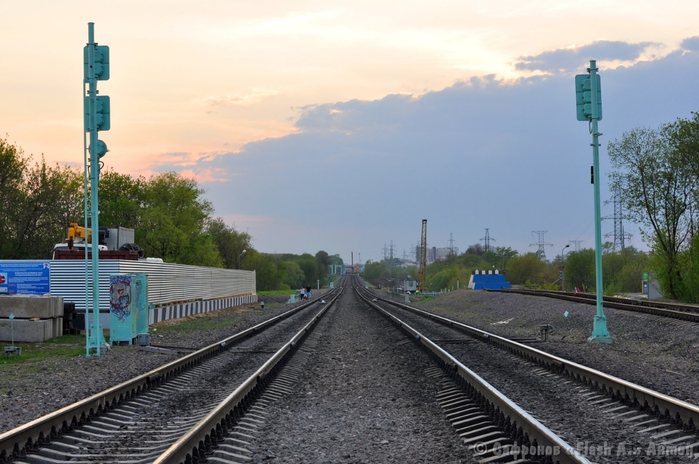 DSC_0239  (700x464, 239Kb)