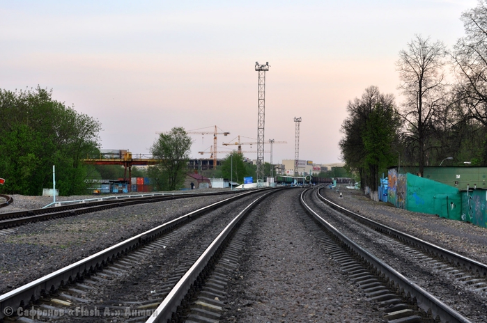 DSC_0240  (700x464, 249Kb)