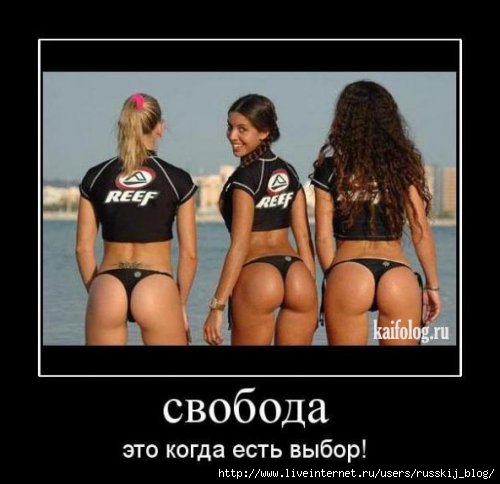 1257329044_099 (500x484, 87Kb)