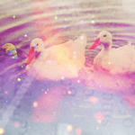 2245788_DSCF2726 (150x150, 54Kb)