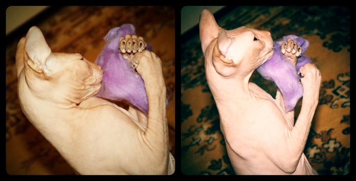 GFRANQ_DU_YOUR_36193770_ (700x356, 173Kb)