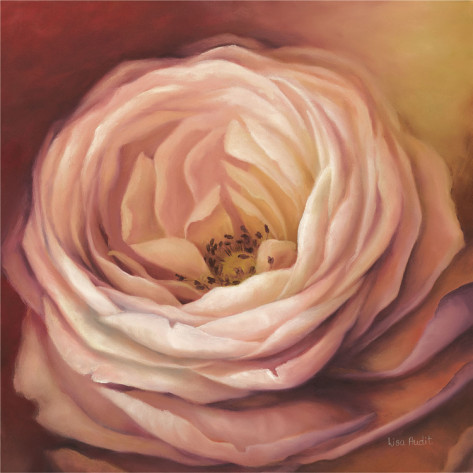 lisa-audit-rose-portrait (1) (473x473, 58Kb)