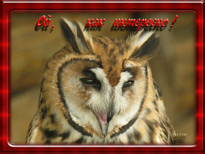 ! (400x300, 599Kb)