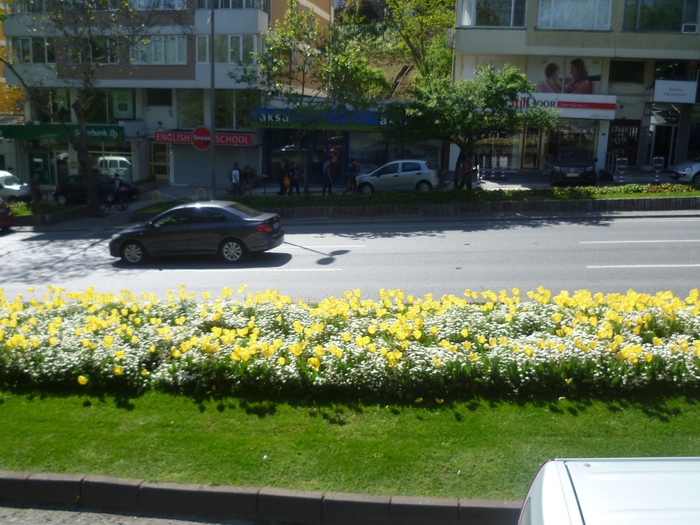 P1010469 (700x525, 318Kb)