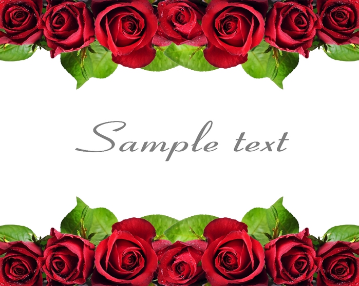 Beautiful Red Roses3 (700x558, 214Kb)