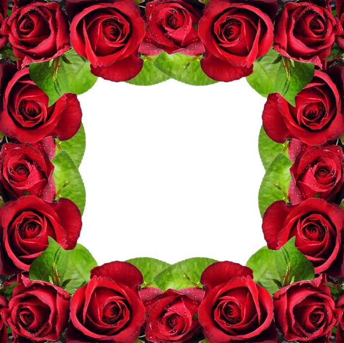 Beautiful Red Roses4 (700x697, 358Kb)