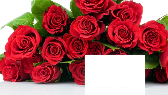 Beautiful Red Roses5 (700x395, 195Kb)
