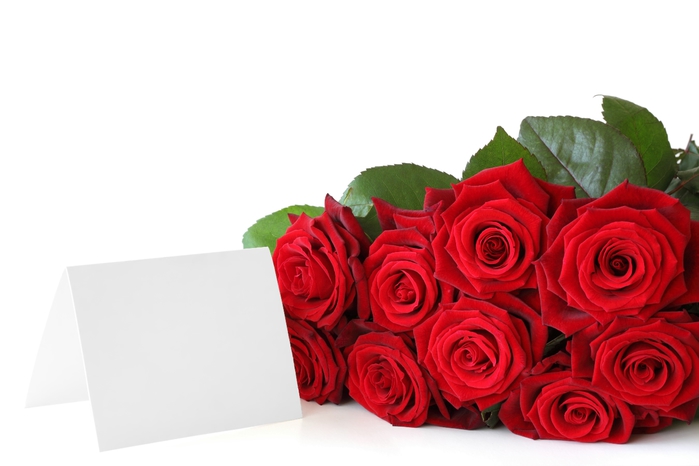 red_roses_01 (700x466, 128Kb)
