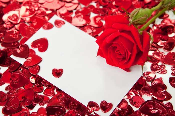 red_roses_03 (700x466, 265Kb)