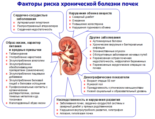 Картинки заболевания почек