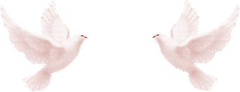 84963174_84633176_4360286_0_343f7_188f517e_L (342x132, 159Kb)