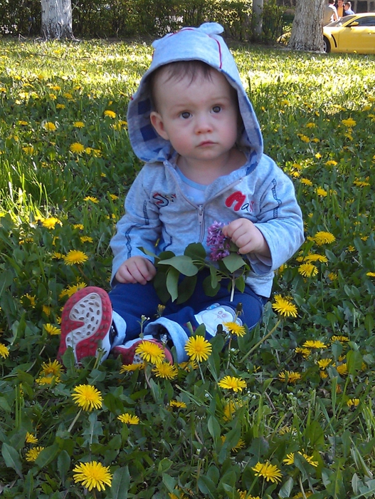 1102391_IMAG0611 (527x700, 383Kb)