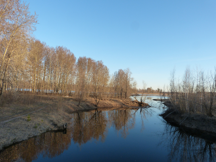 P1060438 (700x525, 483Kb)