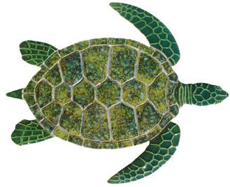 GreenSeaTurtle (329x268, 18Kb)