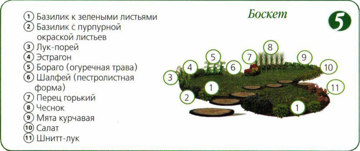 Ароматная грядка схема