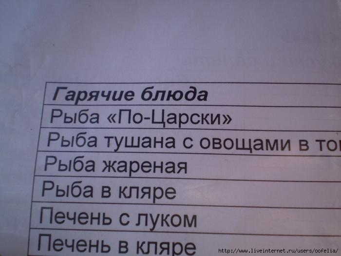 P1010092 (700x525, 240Kb)