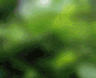 4721164_girafsm (140x113, 69Kb)