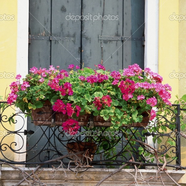 4497432_flowersonbalconyrailing33 (600x600, 137Kb)