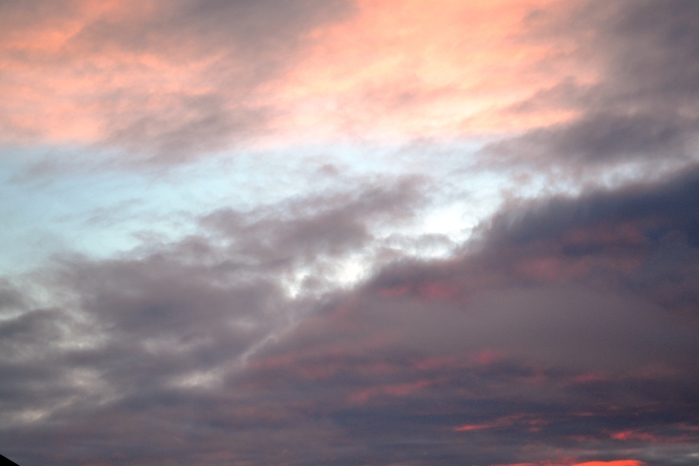 DSC_0011 (700x466, 159Kb)