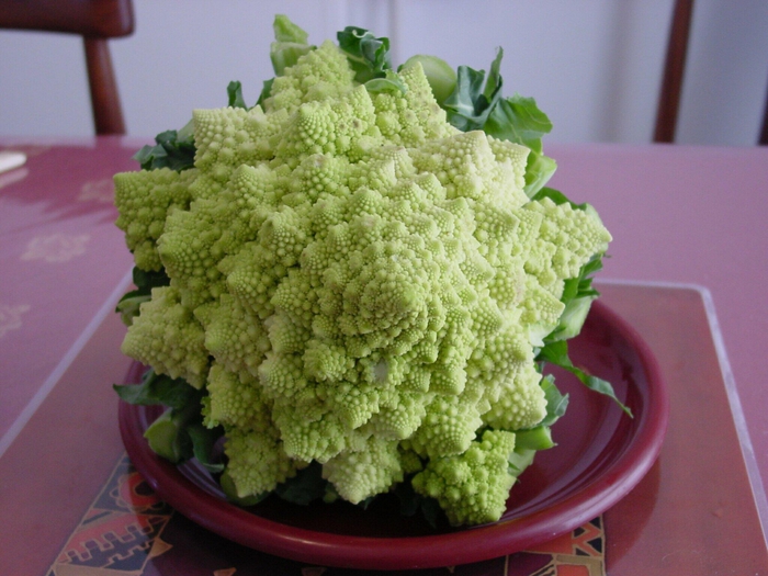 4265673_Cauliflower3_2048 (700x525, 276Kb)