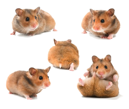 мммммммммммммм (450x379, 196Kb)