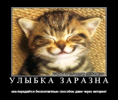  ,     !!! (480x410, 52Kb)