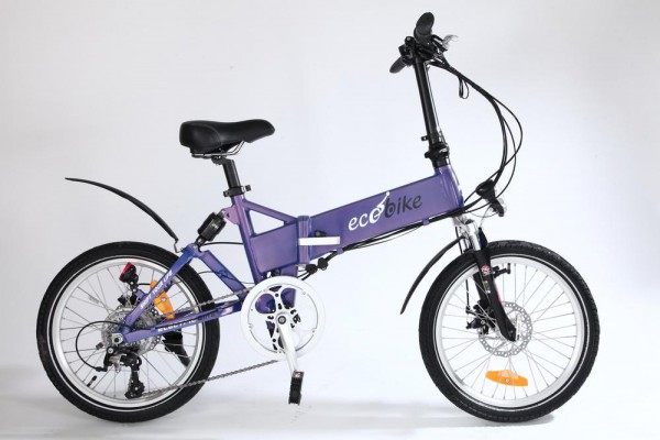 ECOBIKE_F1__639 (600x400, 49Kb)