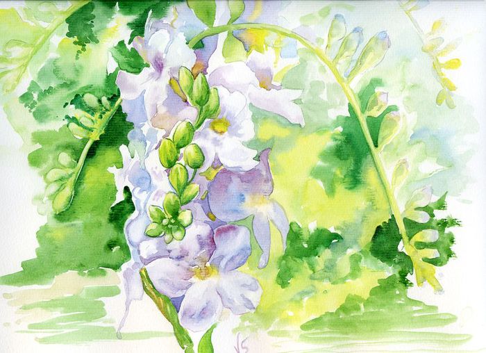 Mauve_by_Vassantha (700x508, 75Kb)