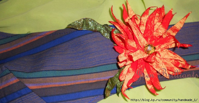 DSCN4361_5 (700x361, 230Kb)