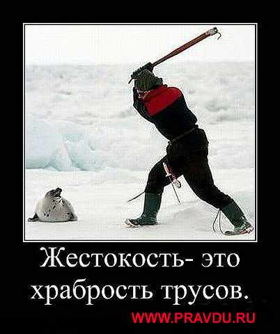 13 (6) (402x480, 20Kb)