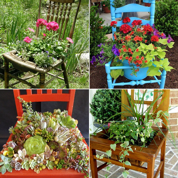 planting-flowers-in-chairs (600x600, 473Kb)