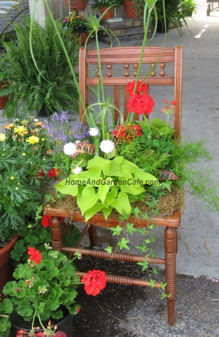 planting-flowers-in-chairs2-7 (450x690, 135Kb)