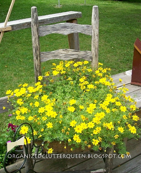 planting-flowers-in-chairs2-8 (490x600, 176Kb)