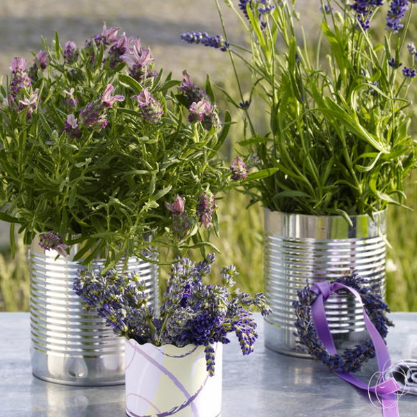 lavender-home-decorating-ideas2-15 (600x600, 143Kb)