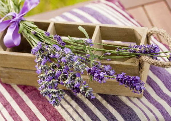 lavender-home-decorating-ideas2-1 (600x425, 98Kb)