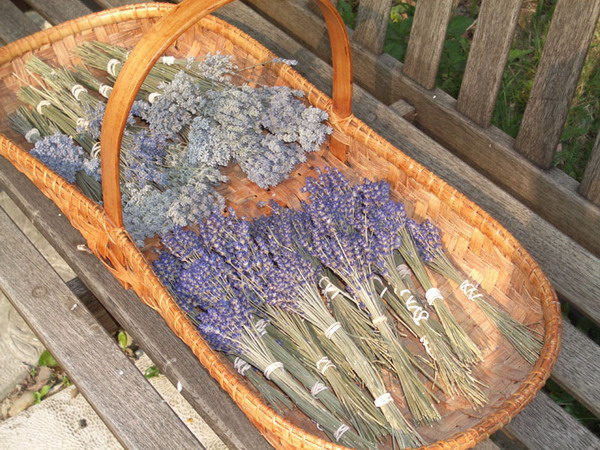 lavender-home-decorating-ideas2-2 (600x450, 147Kb)