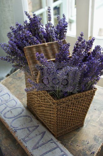 lavender-home-decorating-ideas2-12 (330x500, 72Kb)