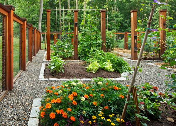 vegetable-garden-ideas7-5 (600x430, 165Kb)