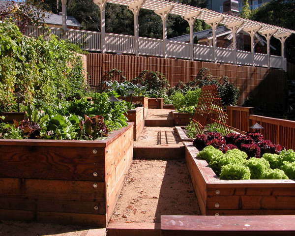 vegetable-garden-paths-ideas12 (600x480, 140Kb)