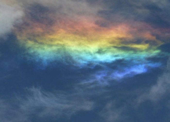 3623822_r15 (700x504, 31Kb)