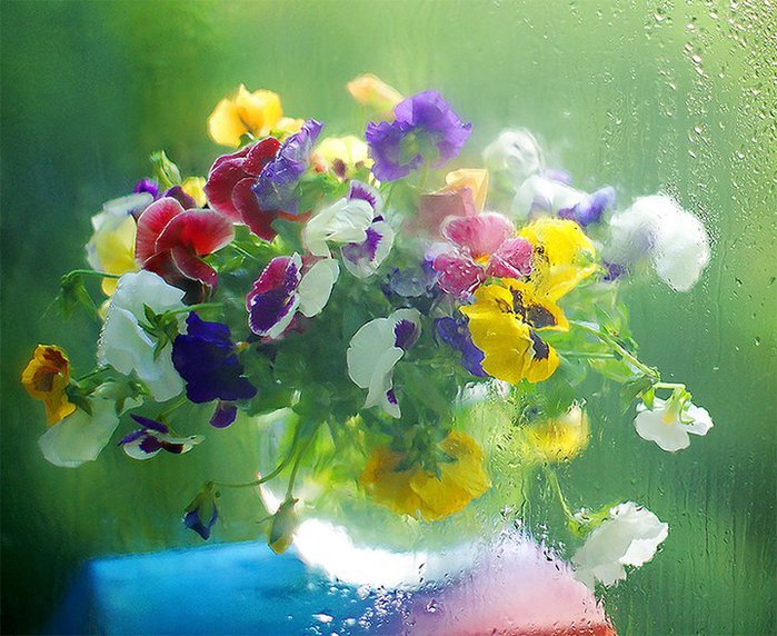 Натюрмортное Цветы под дождем | Yablor.ru