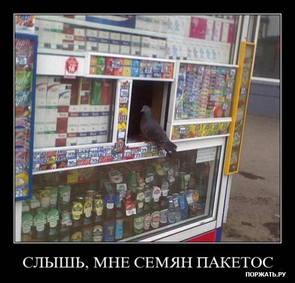 1247460321_3 (600x575, 69Kb)