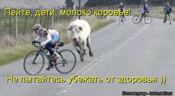 smeshnie_kartinki_1369121009210520131967 (600x329, 29Kb)