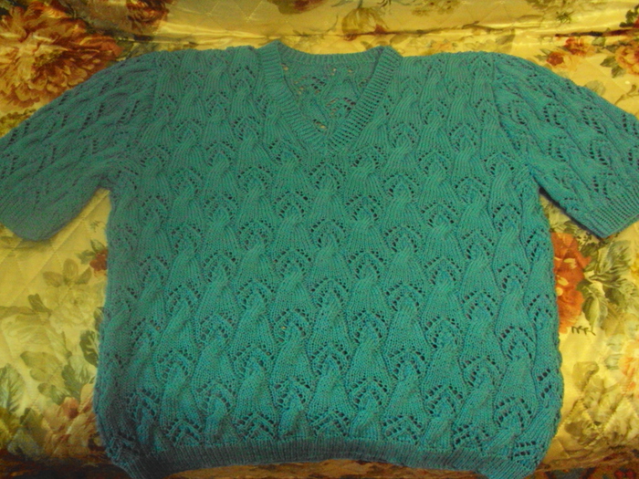 DSC02696 (700x525, 292Kb)