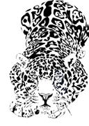 jag (128x180, 15Kb)